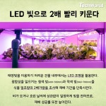[생활TECH] 빌딩숲에서 애그리테크로 농사짓기