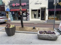 울산시, 도심 속 허브공간 테마정원 2곳 조성