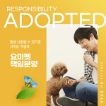 법인 애견분양브랜드 요미펫, 강아지 및 고양이 무료분양 공식화 