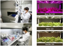 서울반도체, 썬라이크로 미래 스마트팜 새로운 제안