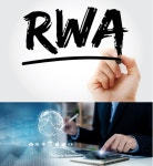  블록체인 전문 컨설팅 기업 (주)에이비비, RWA 컨설팅팀 본격 가동