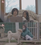 이효리, TV 동물농장 통해 반려견 순심이와 추억 되돌아본다