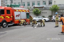 [포토뉴스] 둔산·대덕소방서, 대전소방기술경연대회 우승