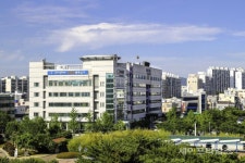 안전사고 위험 울산 장생포 풋살장 개보수 공사 시작