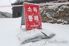 전남 무안 육용오리 농장, 고병원성 조류인플루엔자 확진