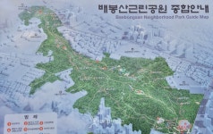 서울 배봉산 등산 60대 남자 실종 … 경찰 수색