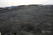 진주 정촌면 공룡·익룡 발자국 화석산지 천연기념물 지정 초읽기