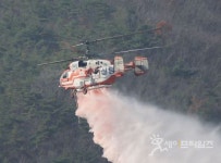 충남 부여군 장암면 산불 … 4시간 만에 진화 완료