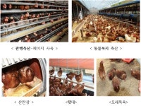 농식품부 건강한 동물복지인증축산물, 저렴하게 구매하세요