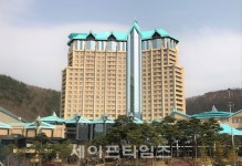 범죄랜드된 강원랜드 … 데이트폭행·성희롱·음주운전 만연