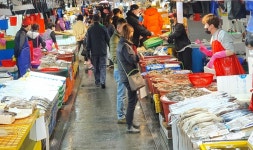 인천시 먹거리 방사능 안전점검 … 유통단계 검사 강화