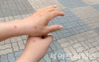 중앙선관위, 카메라 무단 설치 사전투표소 생중계 유튜버 '고발'