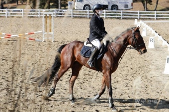 '승마대회·품평회 한자리에' 마사회 승마 축제 연다
