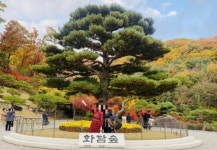 [단독] 외부음식 반입불가 가방 수색한 황당한 LG 화담숲