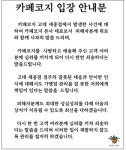 카페코지 플라스틱 스무디 먹고 유산한 임산부