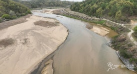 이은주 의원 환경부 직무유기로 내성천 훼손