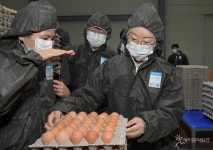 식약처장, 달걀 생산·선별·포장 위생 현장점검