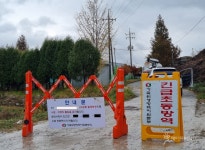 강원 양구 한우농장 럼피스킨 발생 … 인근 농장 긴급 백신접종