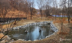 청주시 율봉근린공원 맹꽁이 서식지 복원 완료