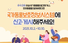 추석 연휴 반려동물 구조·병원 정보 제공