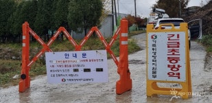 안성 산란계 농장서 고병원성 AI 확진