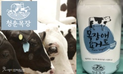 청춘목장 목장애 요거트 대장균군 기준 부적합