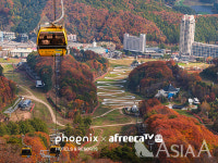 휘닉스 평창X아프리카TV, 올 가을 올인클루시브 랜선 여행 프로젝트 진행 한다.