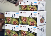 공주 정안면, 햇밤 라이브커머스 진행