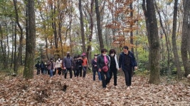 목포시, 양을산에서 맨발 산행하세요