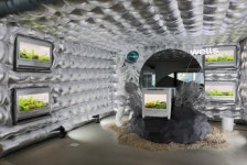 교원 웰스, 웰스팜 팝업스토어 운영