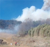 [속보] 당진 산불 발생, 송산면 명산리 진화중