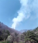 [속보] 강릉 산불 발생, 왕산면 왕산리