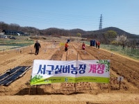 인천 서구, 힐링 서구실버농장 개장