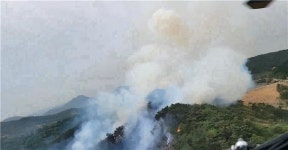 [속보] 곡성군 산불 발생, 옥과면 합강리
