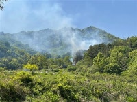 [속보] 보성 산불발생, 겸백면 도안리