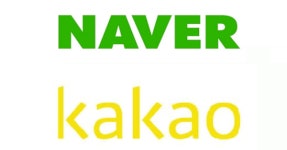 [특징주] 네이버, 카카오 주가 급락