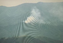 [속보] 영덕 산불 발생, 남정면 우곡리