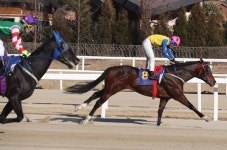 농림축산식품부장관배 대상경주 개최...트리플크라운 마지막 관문