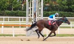 부산경남지역 경주마 목장 첫 삼관마 배출