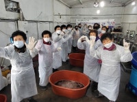 함평군 치매안심센터, 사회공헌활동 일환 천연염색 실시