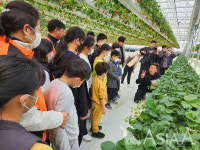 [A 현장] 보성 스마트팜 딸기농장... 체험,놀이,쉼이 결합된 문화공간 추진