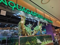 [MZ세대가 간다 64] 반려동물 이모저모...인형 아닌 가족이에요