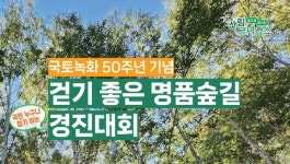 산림청,  걷기 좋은 명품숲길 경진대회(2차) 개최