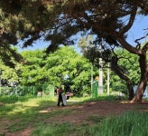 인천 남동구, 시 지정 문화재 구역 4곳 환경개선 추진