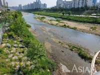 [MZ세대가 간다 73] 바쁜 일상 속 쉼표...조용한 곳에서 산책 어때요?