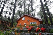 광양시, 백운산자연휴양림 관리 및 운영 조례 일부 개정 공포