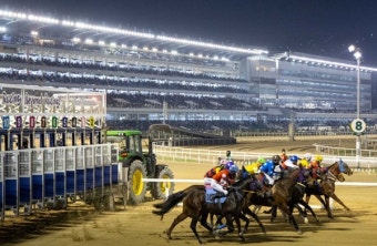 한국마사회, 벚꽃축제와 함께한 상반기 야간경마 성료