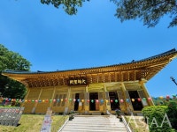 [MZ세대가 간다 124] 요즘 힙한 불교...부처님오신날 맞아 사찰에 가봤습니다