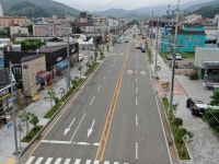 광양시, 시가지 주요 도로변 가로수 교체 사업 완료