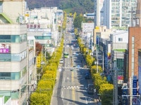 인천 계양구, 특화가로 조성사업 완료